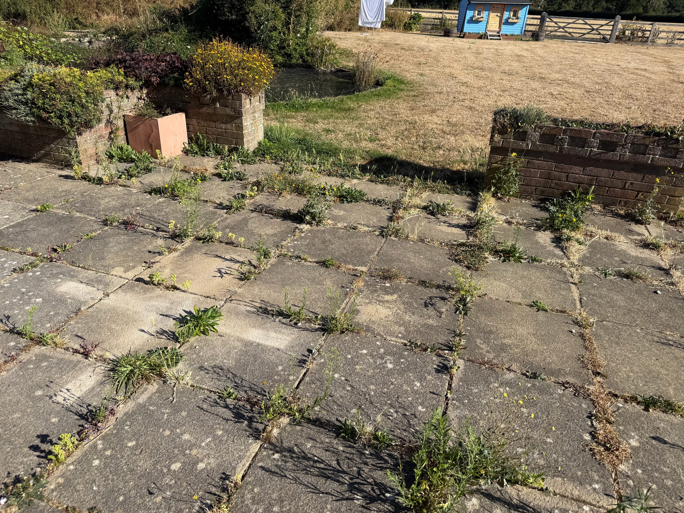 Patio and garden area before the refresh