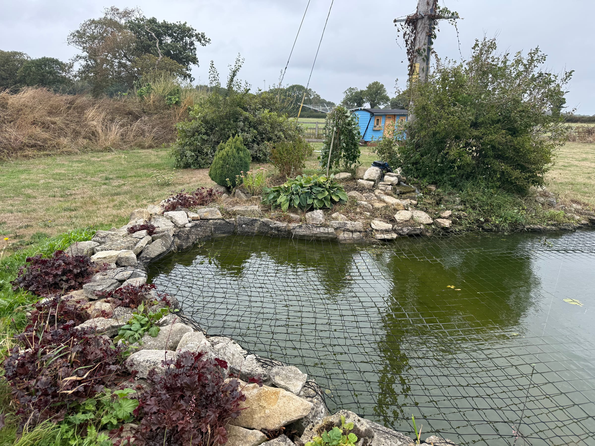 Pond area after the garden project